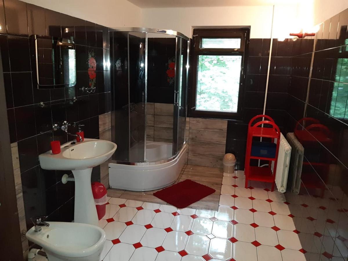 Forest Villa Susiec Dış mekan fotoğraf
